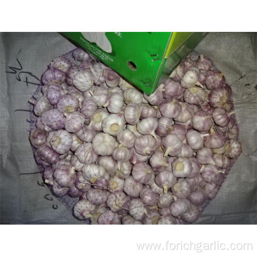 Hot Sale Normal White Garlic